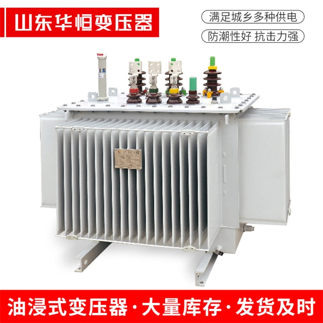 S13-10000/35隆化隆化隆化电力变压器